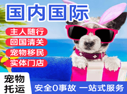 营口兰旗航空托运国际宠物托运 【国